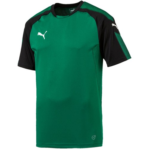 PUMA Trikot "ASCENSION"