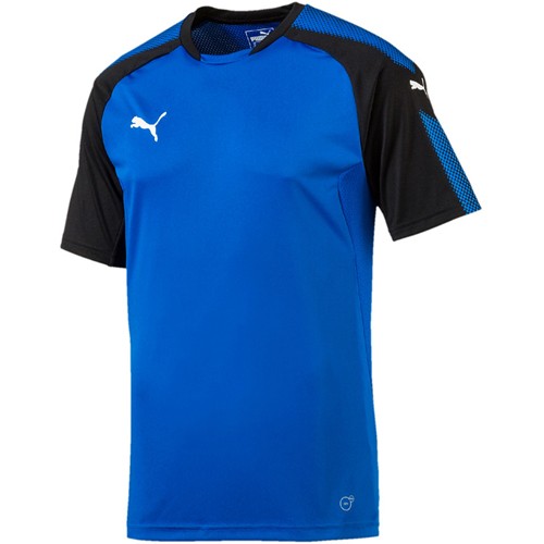 PUMA Trikot "ASCENSION"